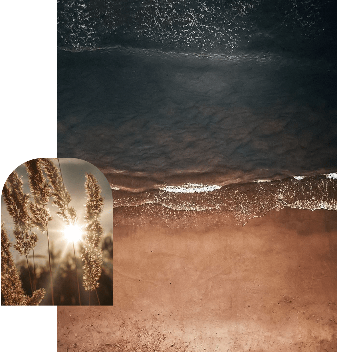 Nadine Radel Coaching