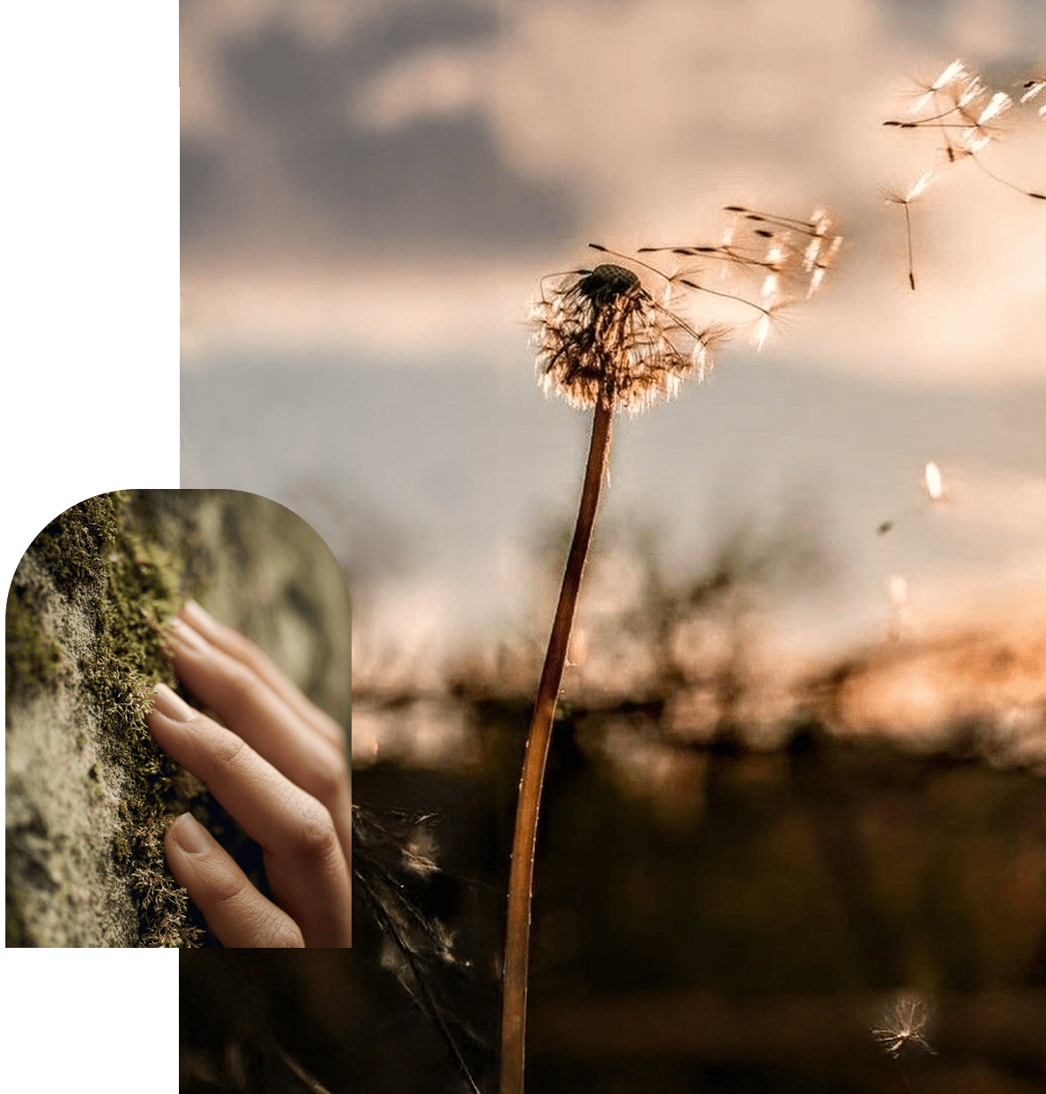 Nadine Radel Coaching